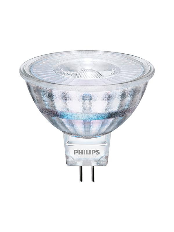 PHILIPS LED Sijalica  5W(35W) CW MR16