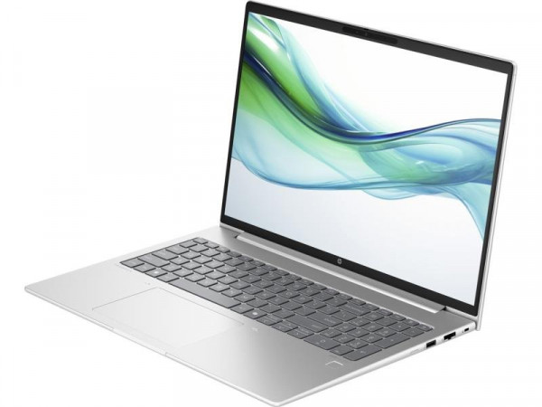 HP ProBook 460 G11 (Pike silver) WUXGA IPS, U5-125U, 16GB, 512GB SSD (A23BKEA)